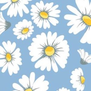 Meet your Posher, Daisy